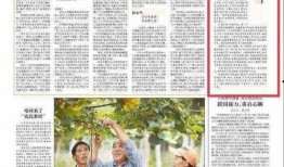 彝良媒体爆料新闻事件最新,惊现重大新闻事件，真相令人震惊！