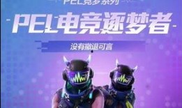 pel最新爆料,揭秘电竞圈幕后风云与精彩瞬间