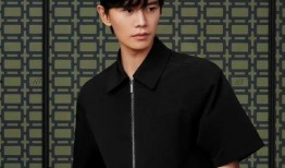 最新爆料任嘉伦明星,神秘女友身份引网友热议