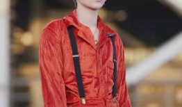 刘雨昕最新爆爆料,揭秘娱乐圈幕后真相