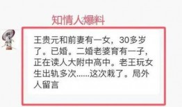 嵩县大事件爆料最新消息,揭秘惊人真相，震撼全县！