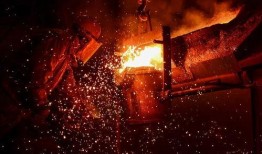 仁化百事网爆料最新消息,最新动态速览！