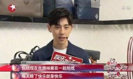 任贤齐杨紫最新爆料,揭秘合作背后的感人故事