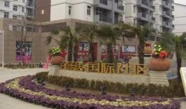 商丘最新爆料小区名单,揭秘热门小区名单背后的故事