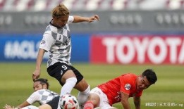 瑞士足球爆料视频大全最新,揭秘最新精彩瞬间与幕后故事