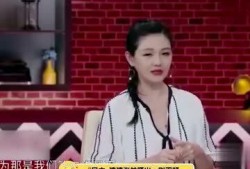 张兰视频爆料大全最新版,揭秘背后真相与争议