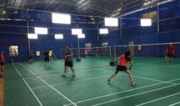 小羽毛球爆料网站大全最新,揭秘最新小羽毛球爆料网站大全