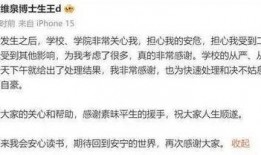 嵩县大事件爆料最新消息,揭秘惊人真相，震撼全县！