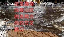 湛江市民爆料最新,惊现神秘事件，真相令人震惊！