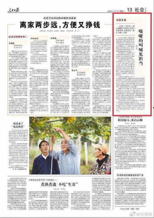 彝良媒体爆料新闻事件最新,惊现重大新闻事件，真相令人震惊！