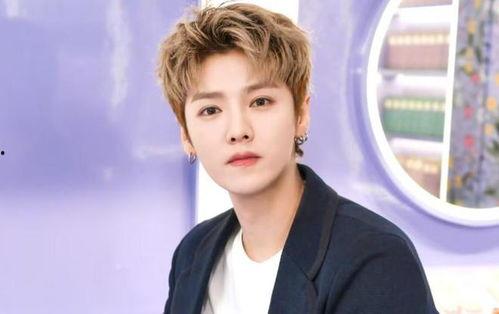 最新爆料顶流男星,从爆红到巅峰的蜕变之路