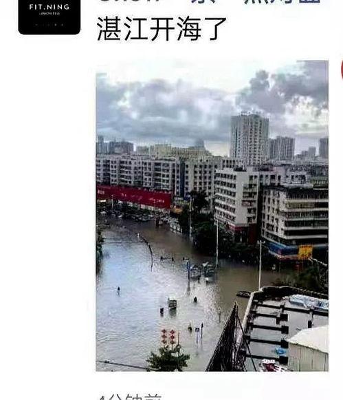 湛江市民爆料最新,惊现神秘事件，真相令人震惊！