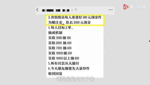 厦门文案最新爆料,揭秘城市魅力新篇章