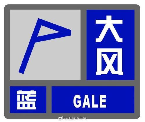 最新外网爆料平台有哪些,最新外网爆料平台大盘点，热门平台一览无余
